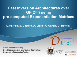 Fast Architectures for inversion over GF(2233)