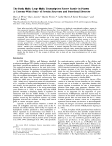 The Basic Helix–Loop–Helix Transcription Factor Family in Plants: A