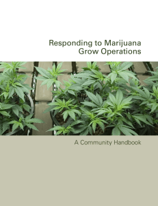 Responding to Marijuana Grow Operations