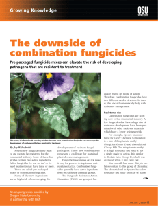 The downside of combination fungicides