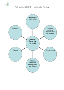 Primary Mathematics Planning Framework Medium Term Plans