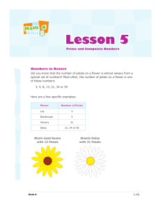 Lesson 5 - BGRS - Engaging Students