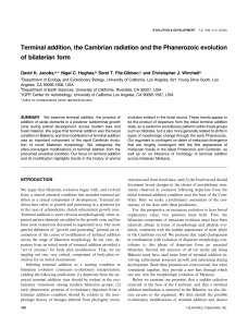 Terminal addition, the Cambrian radiation and the Phanerozoic
