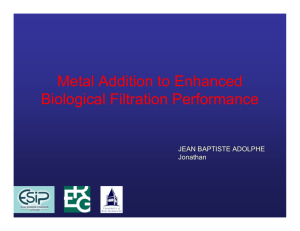 Metal Addition to Enhanced Biological Filtration Performance
