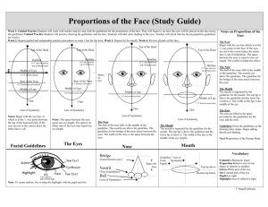 Proportions of the Face (Study Guide)
