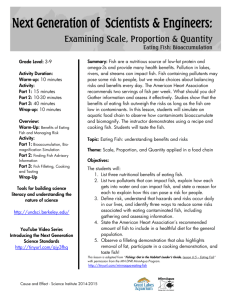 Scale, Proportion and Quantity Lesson Plan