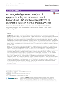 An integrated genomics analysis of epigenetic subtypes in human
