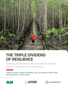 The Triple DiviDenD of resilience