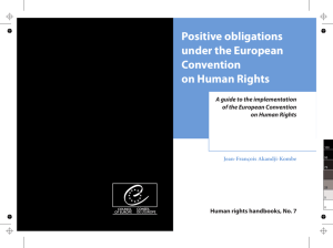 Positive obligations under the European Convention on Human Rights