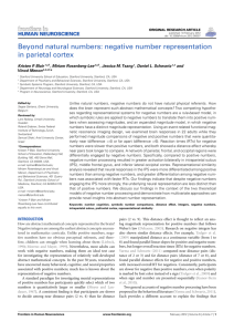 Beyond natural numbers: negative number representation in parietal