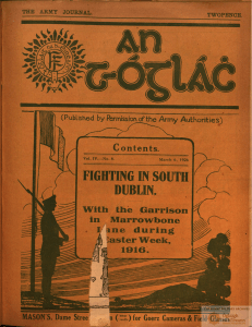 fighting in south dublin.