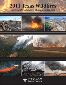 2011 Texas Wildfires Common Denominators of Home Destruction