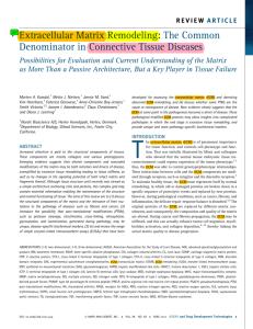The Common Denominator in Connective Tissue Diseases