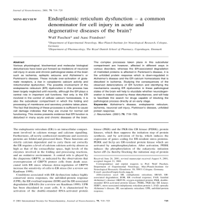 Endoplasmic reticulum dysfunction ± a common denominator for cell