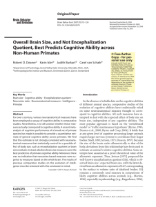 Overall Brain Size, and Not Encephalization Quotient, Best Predicts