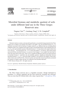 Microbial biomass and metabolic quotient of soils under different