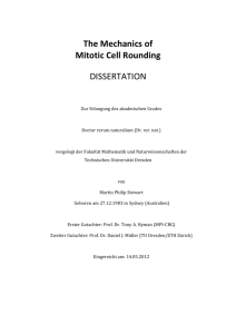 The Mechanics of Mitotic Cell Rounding DISSERTATION