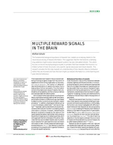 multiple reward signals in the brain