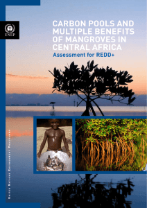 carbon pools and multiple benefits of mangroves in central