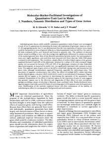 Molecular-Marker-Facilitated Investigations of