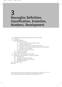 Neuroglia: Definition, Classification, Evolution, Numbers, Development