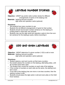 Ladybug Number Stories odd and even ladybugs