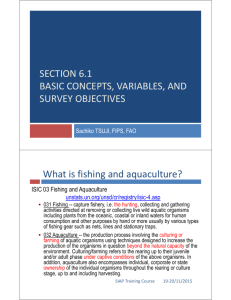 SECTION 6.1 BASIC CONCEPTS, VARIABLES, AND