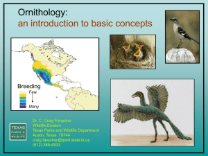 Ornithology Basic Concepts PDF file