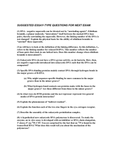 suggested essay-type questions for next exam