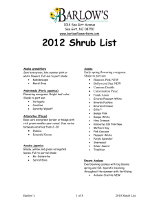2012 Shrub List - Barlow`s Flower Farm