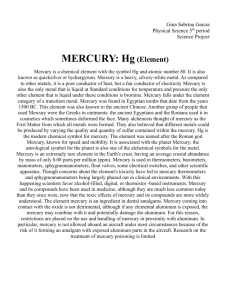 Project On the Element (Mercury).doc