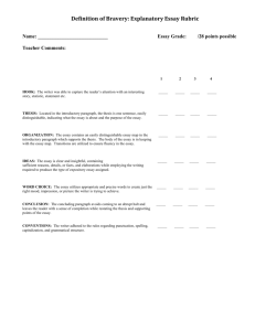 Bravery Essay Rubric