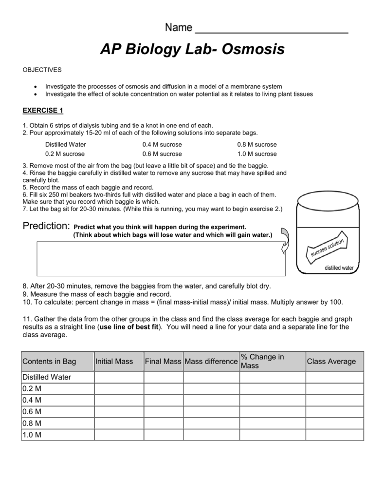 osmosis experiment with potato and sugar solution pdf