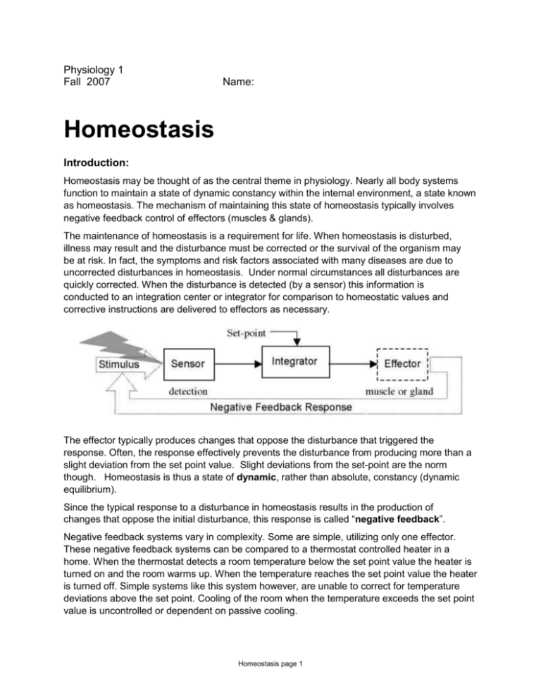 Homeostasis Case Study Answers
