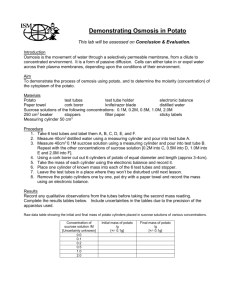 Demonstrating Osmosis in Potato