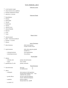 Ch 16 Endocrine - part 2 Endocrine system • several separate