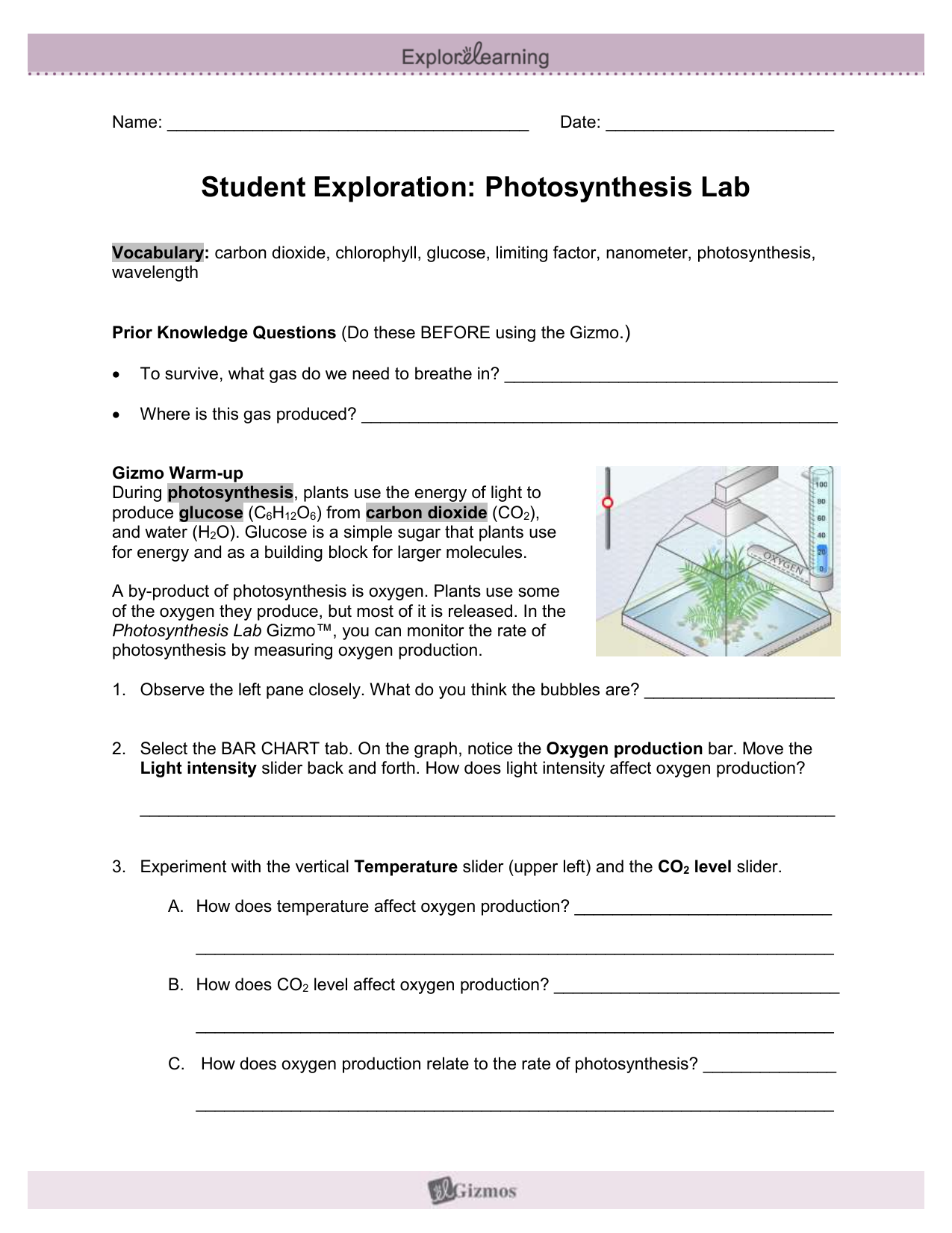 Gizmo Photosynthesis