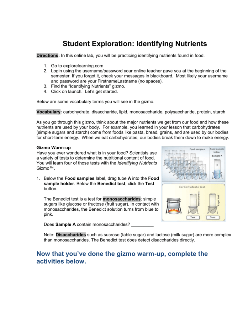 Student Exploration Sheet: Growing Plants