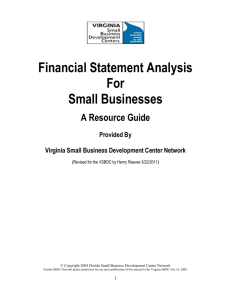Financial Statement Analysis - Hampton Roads Small Business