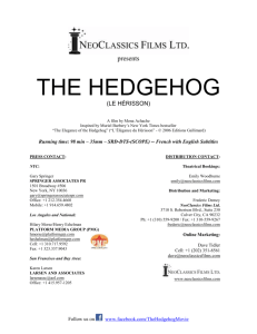 Hedgehog Press Kit in DOC