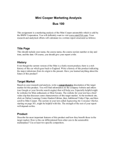 Mini Cooper Marketing Analysis Project Assignment Page
