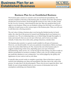 Business Plan for an Established Business.doc