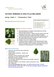 1 | Page LIVING MEDICINE - using plants for health and wellbeing