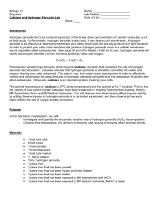 Hydrogen Peroxide and Catalase Lab