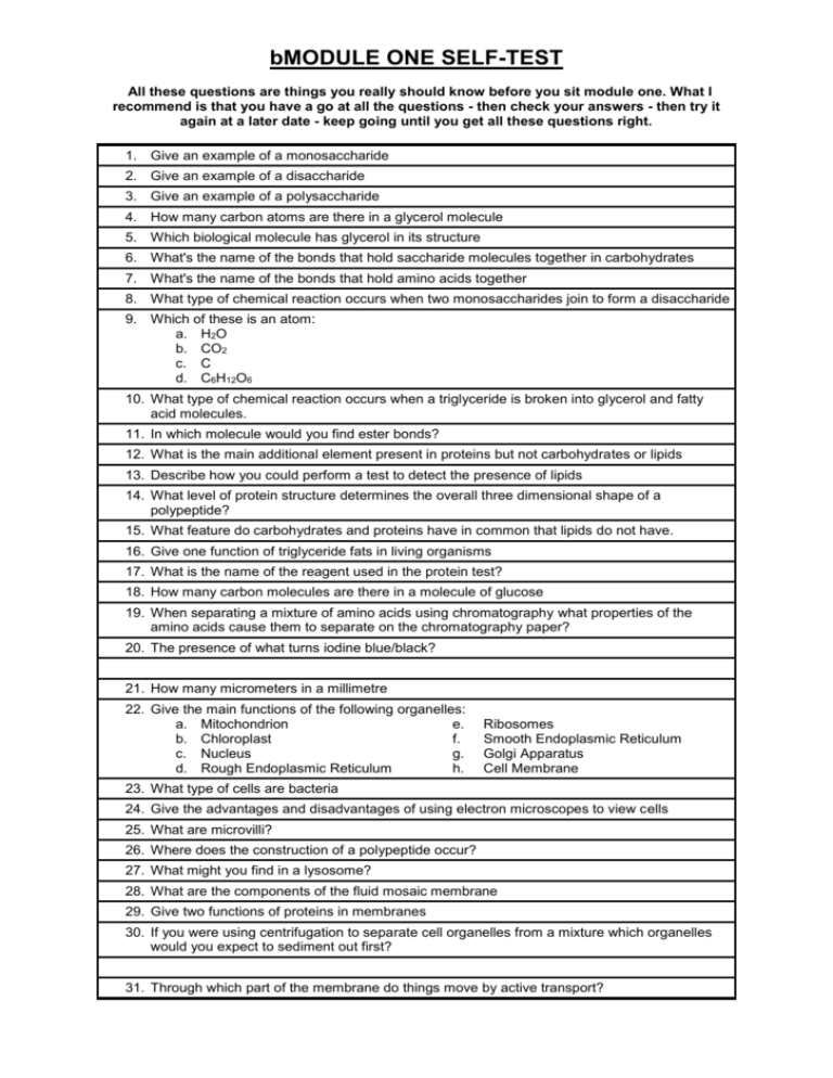 how-to-convert-an-excel-file-to-a-word-document-studytonight