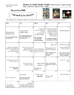 summary essay example year 9