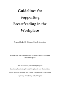 Guidelines for Supporting Breastfeeding in the Workplace