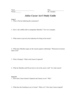 my own experience essay robots