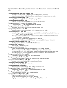 Alphabetical list of all coccidian parasites recorded from all snake