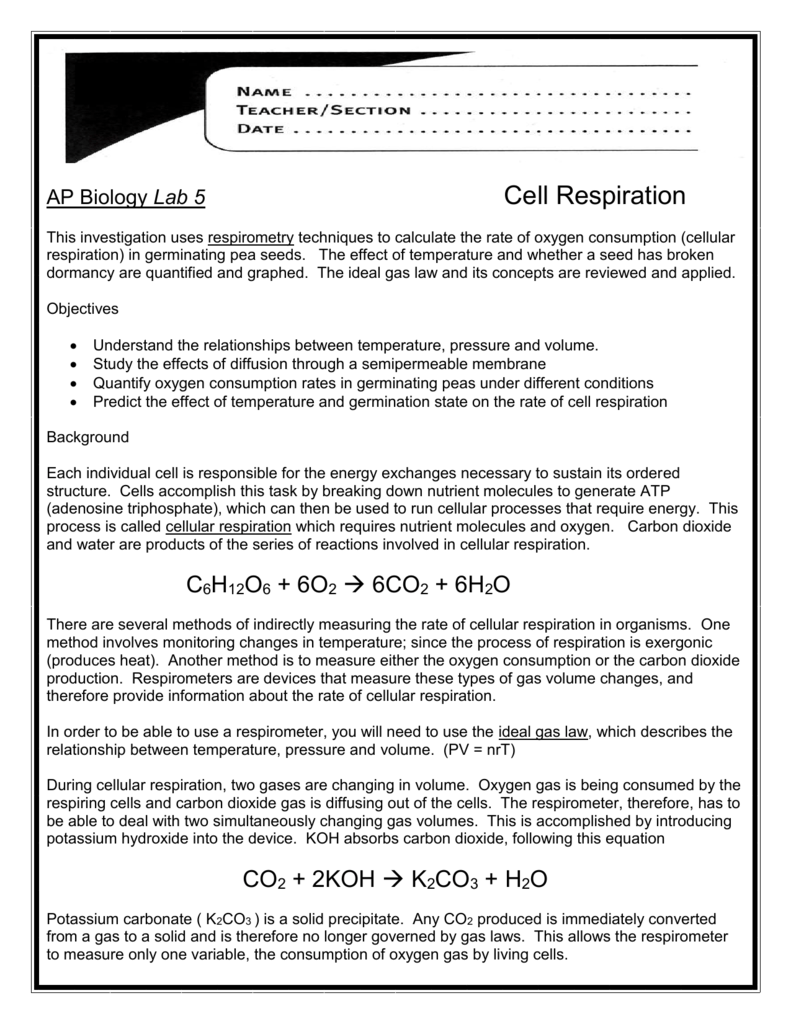 Ap Biology Lab 5 Cell Respiration This Investigation Uses